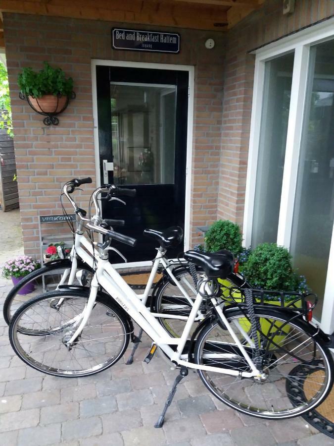 Bed And Breakfast Hattem Eksteriør bilde